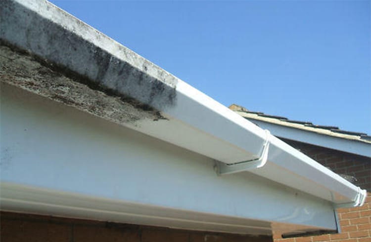 A section of a house roof in Northeast Kentucky shows a white gutter with dark grime against a clear blue sky. The side of the house reveals brick and shingled details, highlighting the need for the best roof washing service or pressure washing service in Fayette County, KY.
