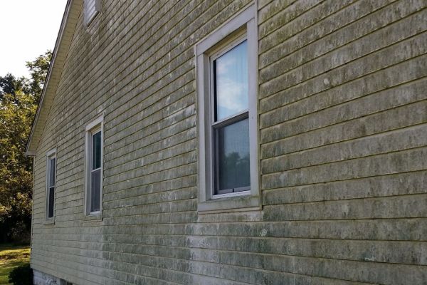 The image shows the side of a house with greenish siding that appears to be covered in mold or mildew. There are two rectangular windows, and the siding looks weathered. Trees stand in the background, hinting that a pressure washing service in Pike County KY could restore its original charm.