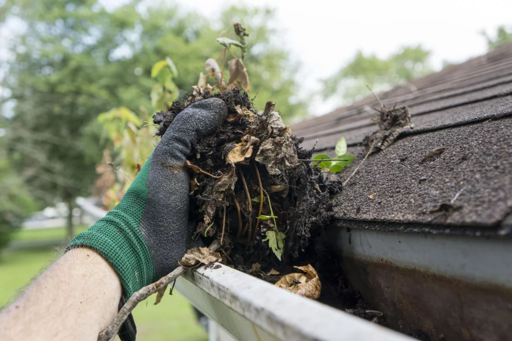 A gloved hand is clearing decomposed leaves and debris from a residential gutter, ensuring smooth water flow. The shingles on the roof are visible, and a grassy area with trees is blurred in the background—a scene that might benefit from a pressure washing service in Pike County KY.