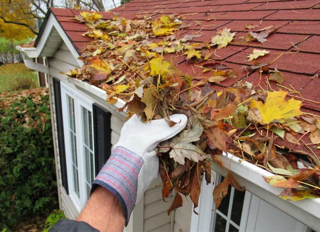 gutter cleaning