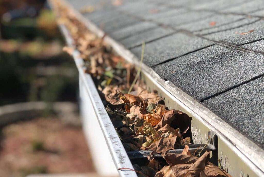 Close-up of a house gutter filled with dry leaves and debris. The roof shingles are visible above the gutter, suggesting a garden or yard setting. For pristine results and clear gutters, consider the best roof washing service in Northeast Kentucky.